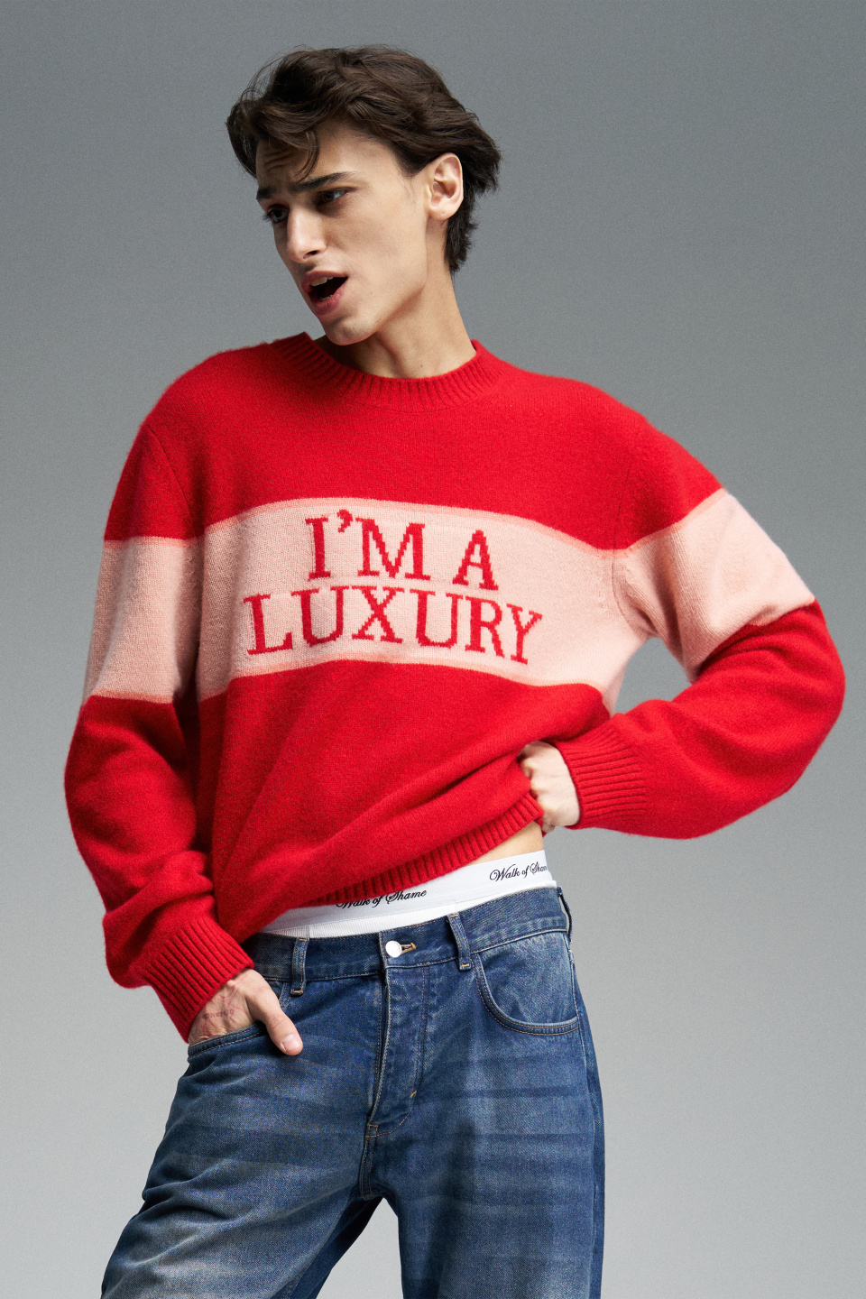 I\'m a luxury, фото 2